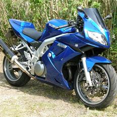 Suzuki sv 1000s