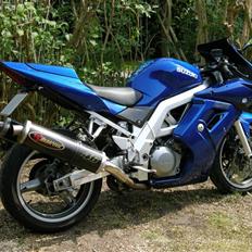 Suzuki sv 1000s