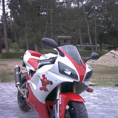 Yamaha YZF R1(SOLGT)