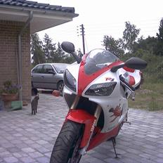 Yamaha YZF R1(SOLGT)