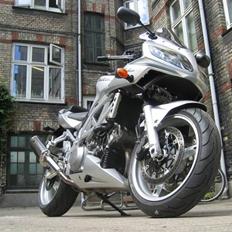 Suzuki SV1000S (SOLGT)