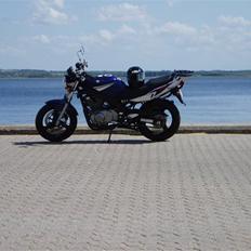 Suzuki gs 500 E
