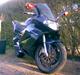 Aprilia RST Mille Futura