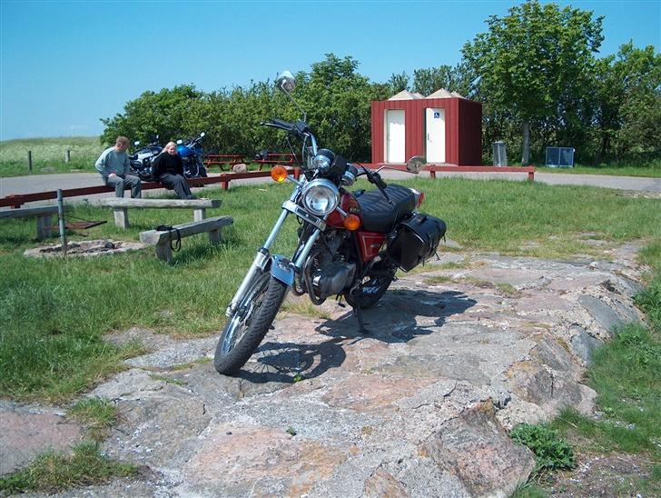 Suzuki GN 250 billede 4