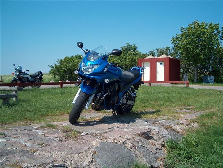 Suzuki GSF 650s BANDIT billede 3