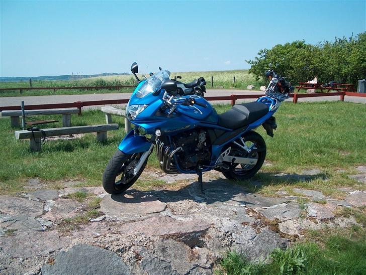 Suzuki GSF 650s BANDIT billede 5
