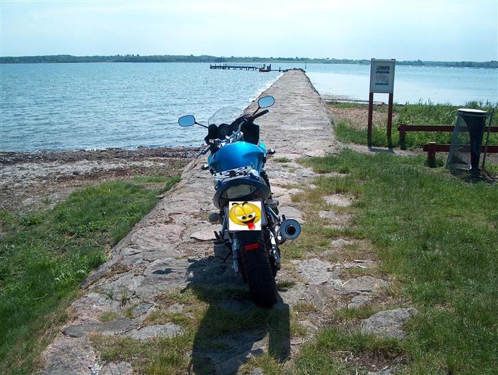 Suzuki GSF 650s BANDIT - Ny diodebaglygte billede 12