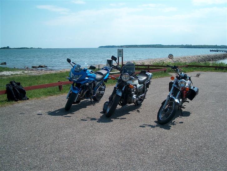 Suzuki GSF 650s BANDIT - Min kammerats, konens og min "cykel" billede 14