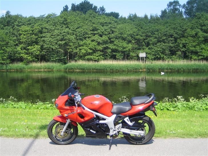 Suzuki SV 650 S billede 5