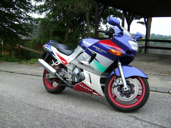 Kawasaki ZZR 600 billede 6