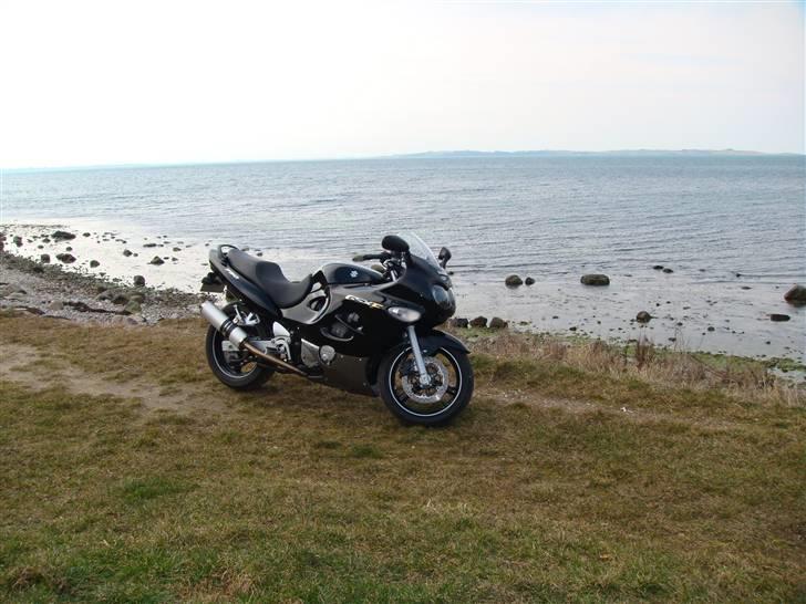 Suzuki gsx 750 f(solgt) - nekselø i baggrunden billede 8