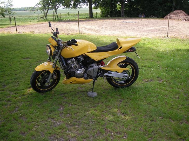 Honda Hornet - El diablo- [solgt]  billede 2