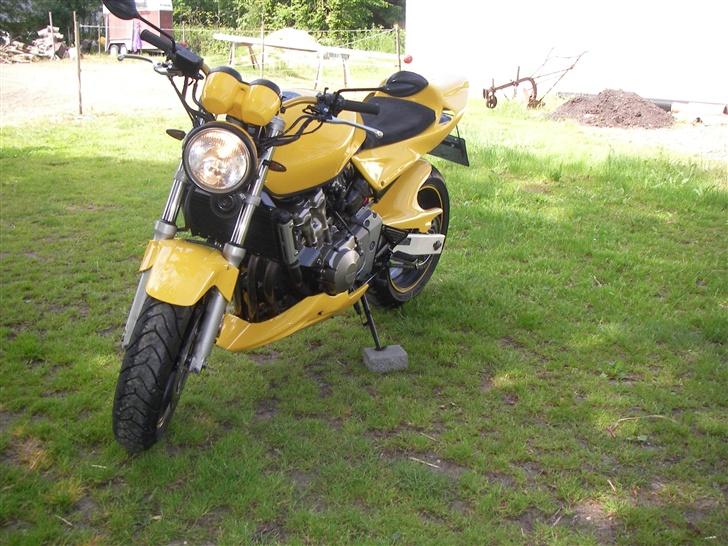 Honda Hornet - El diablo- [solgt]  billede 3