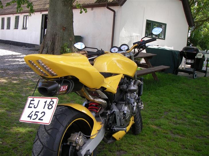 Honda Hornet - El diablo- [solgt]  billede 5