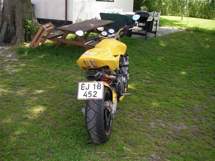 Honda Hornet - El diablo- [solgt]  billede 7