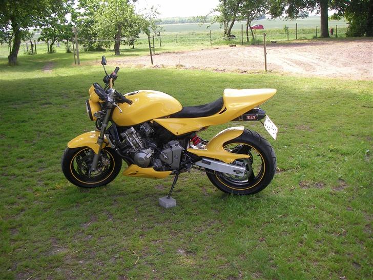 Honda Hornet - El diablo- [solgt]  billede 9