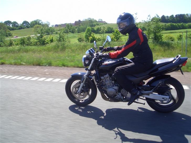 Honda CB600F Hornet  billede 6