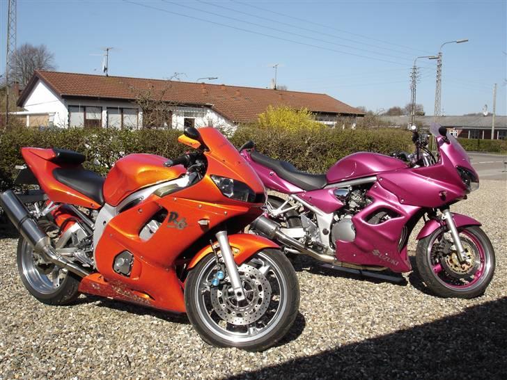 Yamaha R6 - 6´erens lille Pink Bandit kæreste... billede 20