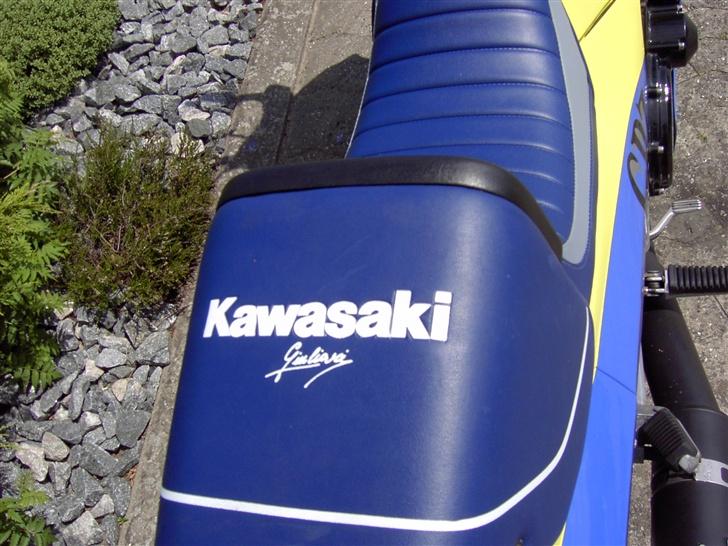 Kawasaki GPZ 900 R Ninja (SOLGT) - Skallen er aftagelig = 4 skuer billede 16