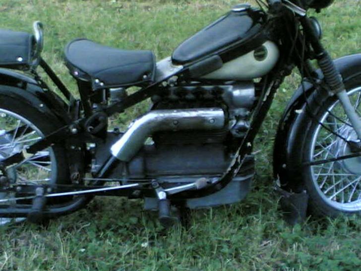 Nimbus hummelbi billede 5