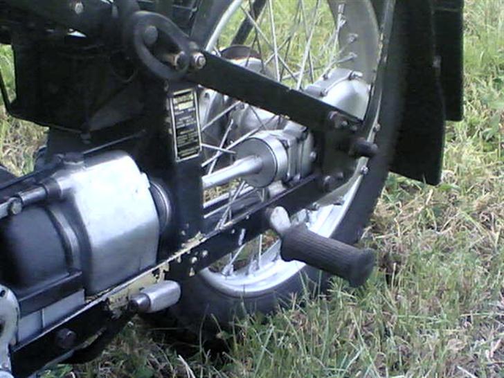 Nimbus hummelbi billede 6