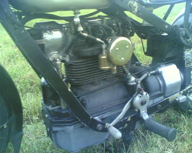 Nimbus hummelbi billede 7