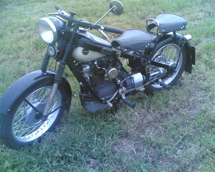 Nimbus hummelbi billede 8