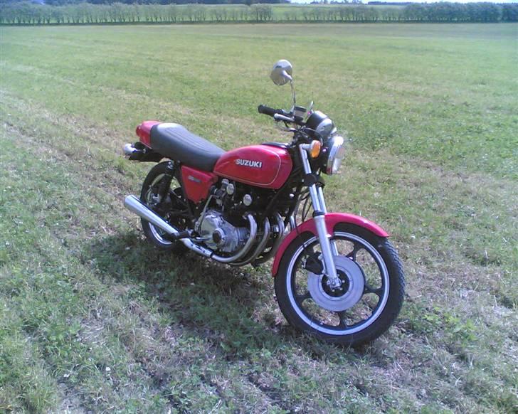 Nimbus hummelbi billede 9