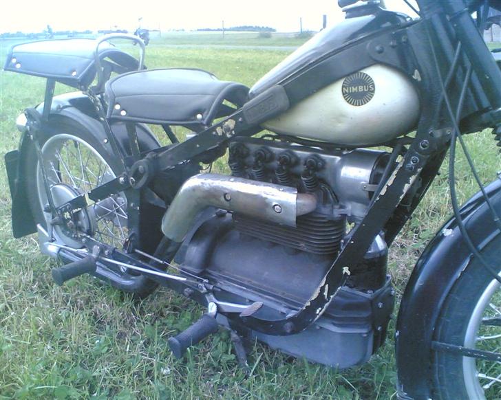 Nimbus hummelbi billede 11