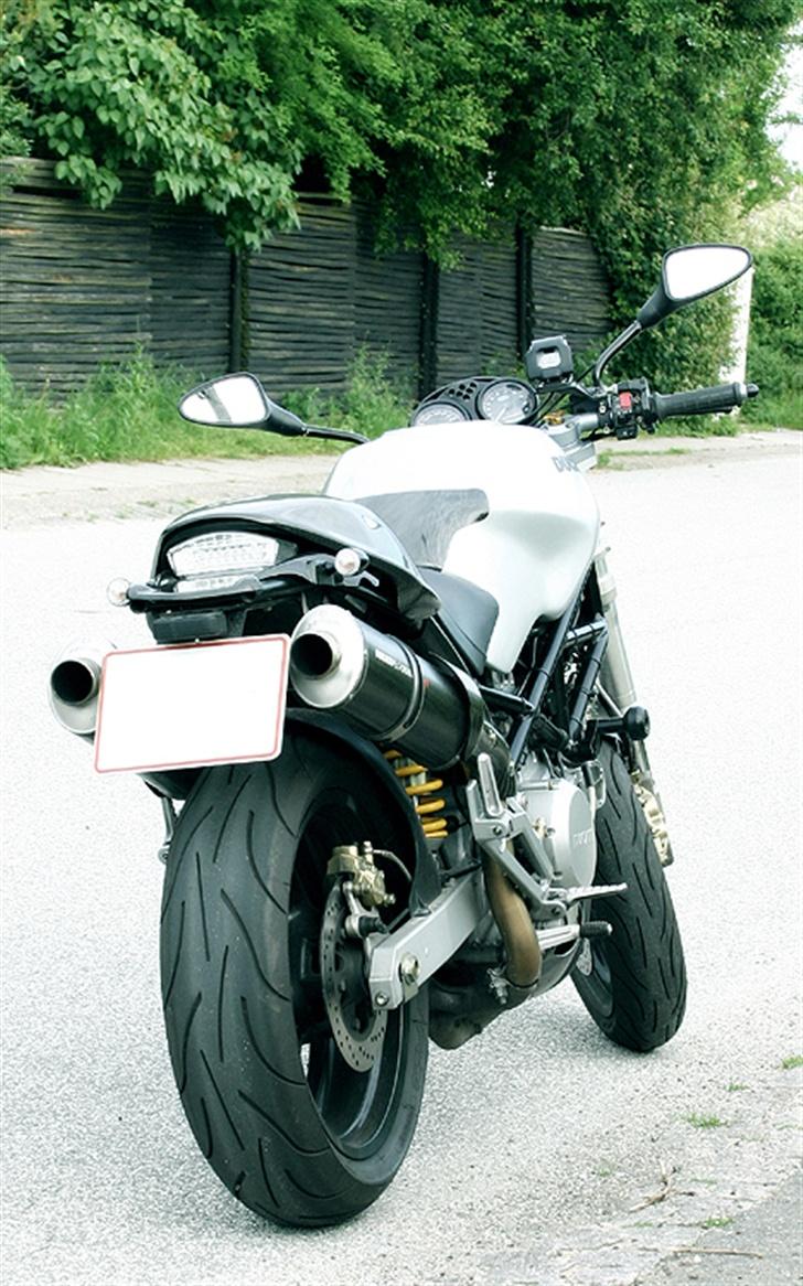 Ducati Monster 800 i.e. - Og vi kan godt lide den bagfra også.... hmm... billede 10