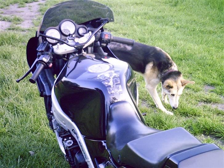 Yamaha fzr  billede 2