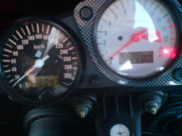 Suzuki TL 1000R billede 8