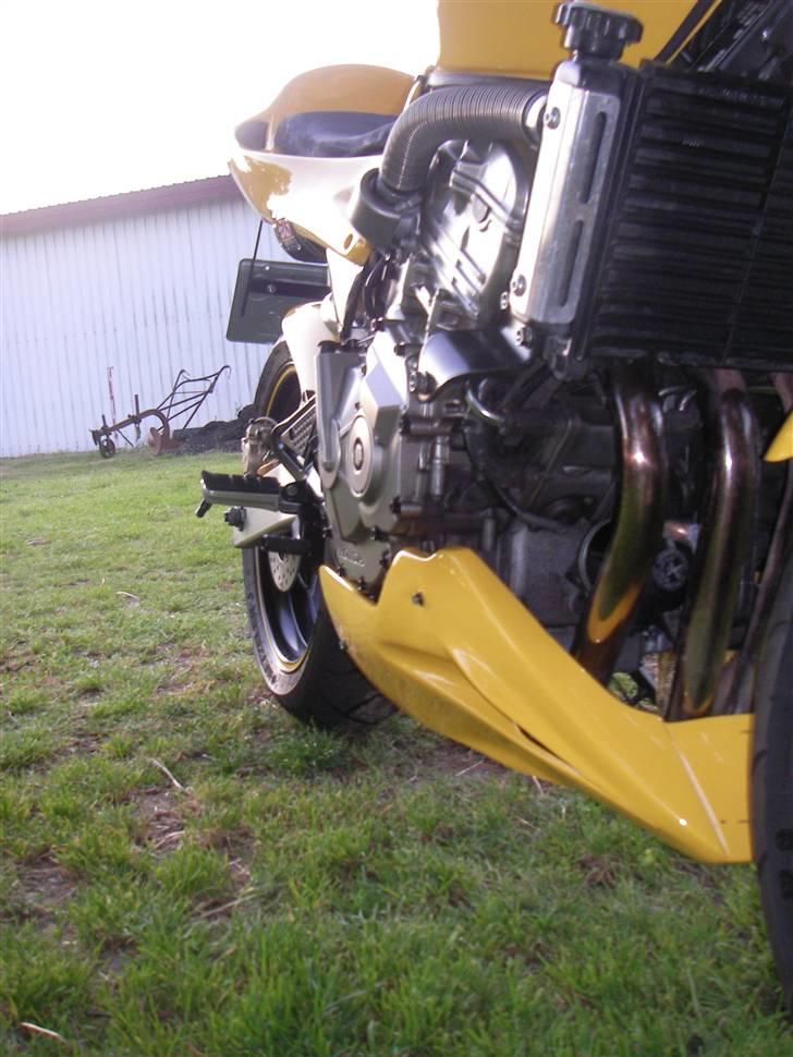 Honda Hornet - El diablo- [solgt]  billede 13