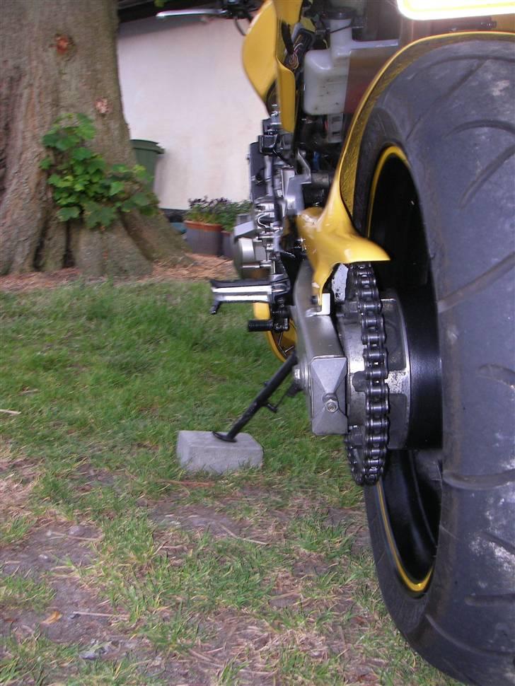 Honda Hornet - El diablo- [solgt]  billede 17