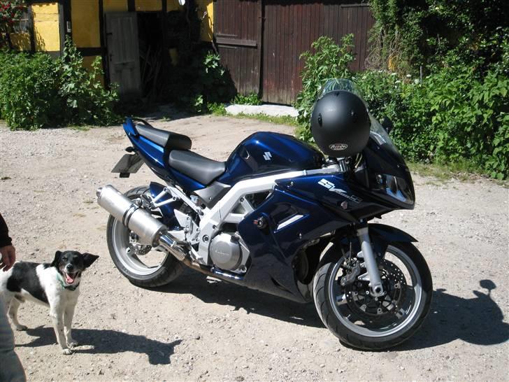 Suzuki SV 1000S Solgt!!!!! - Nypudset og klar til et smut ud i varmen billede 1