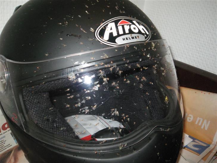 Suzuki SV 1000S Solgt!!!!! billede 13