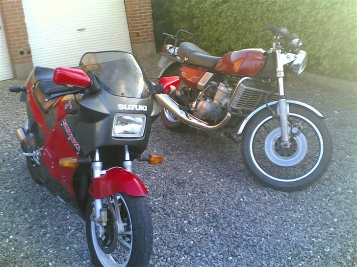 Suzuki rg 250 gamma - hans er en 750 vandbøffel billede 4