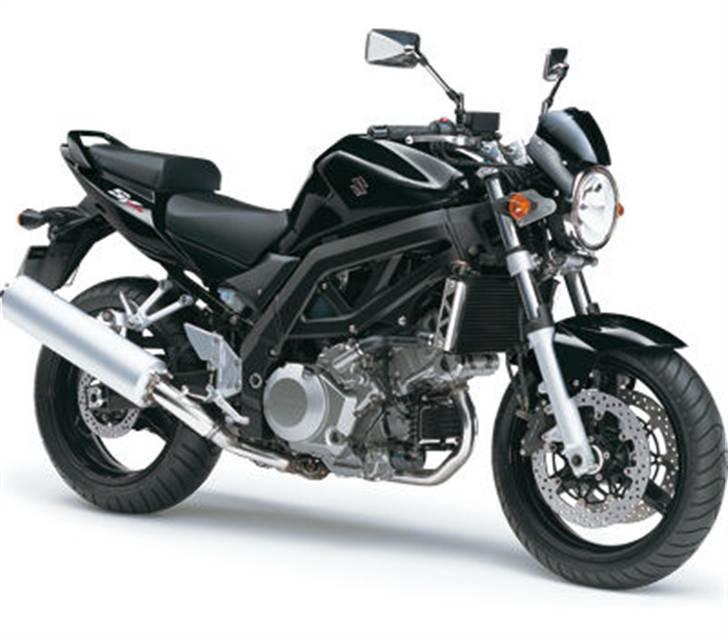 Suzuki SV 1000 billede 2