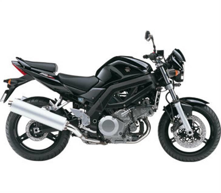 Suzuki SV 1000 billede 3