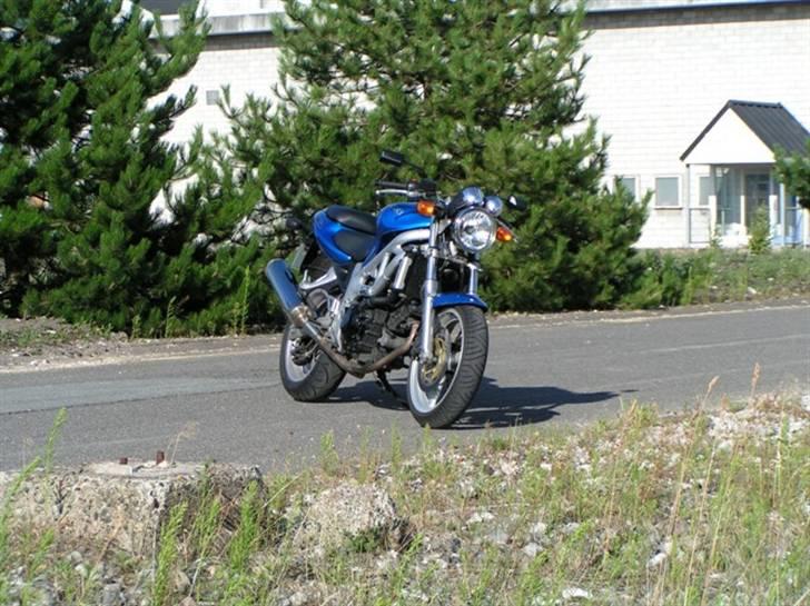 Suzuki SV 650 N billede 1