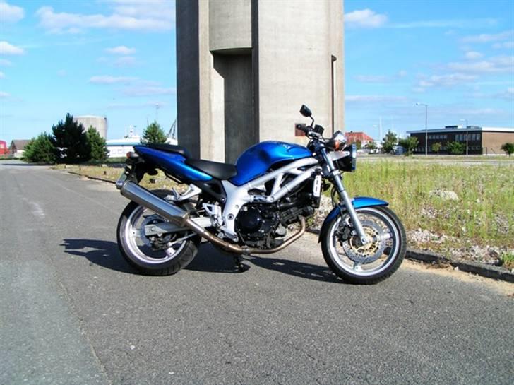 Suzuki SV 650 N billede 7