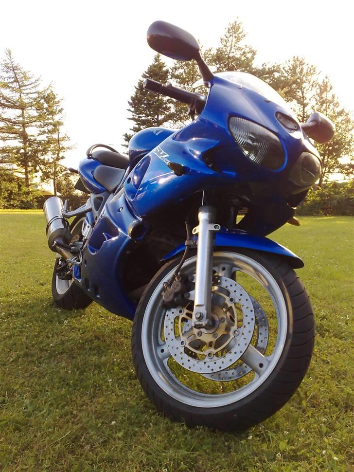 Suzuki Sv 650 billede 2