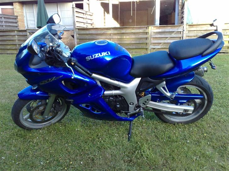 Suzuki Sv 650 billede 4