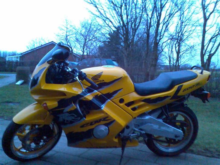 Honda CBR 600 billede 5