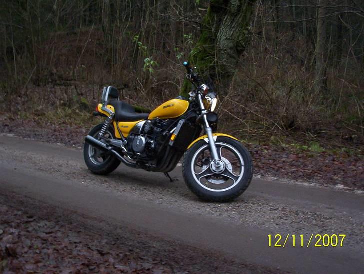 Kawasaki eliminator solgt - i skoven billede 3