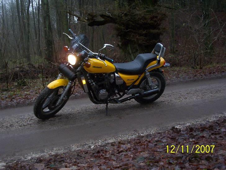 Kawasaki eliminator solgt - i skoven billede 4