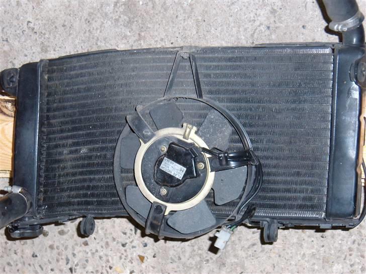 Honda CBR 600 FM - Kåben gemte på en skæv men utroligt nok tæt køler billede 7