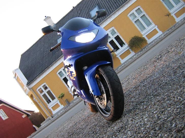 Yamaha YZF 600 R THUNDERCAT - Svært at ta billede af xenon, men det ser sgu fedt ud... Og nu også med sort kåbeglas... billede 4