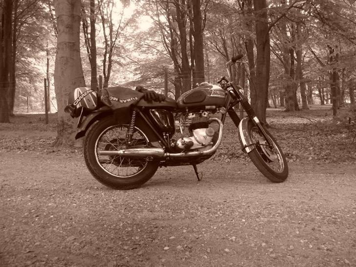 Triumph T100ss billede 12