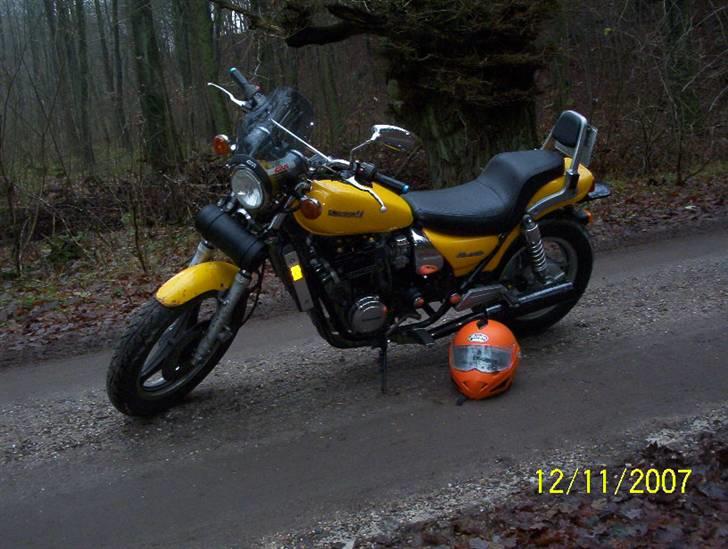 Kawasaki eliminator solgt - igen et fint billede fra skoven billede 13